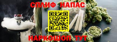 СК Краснознаменск